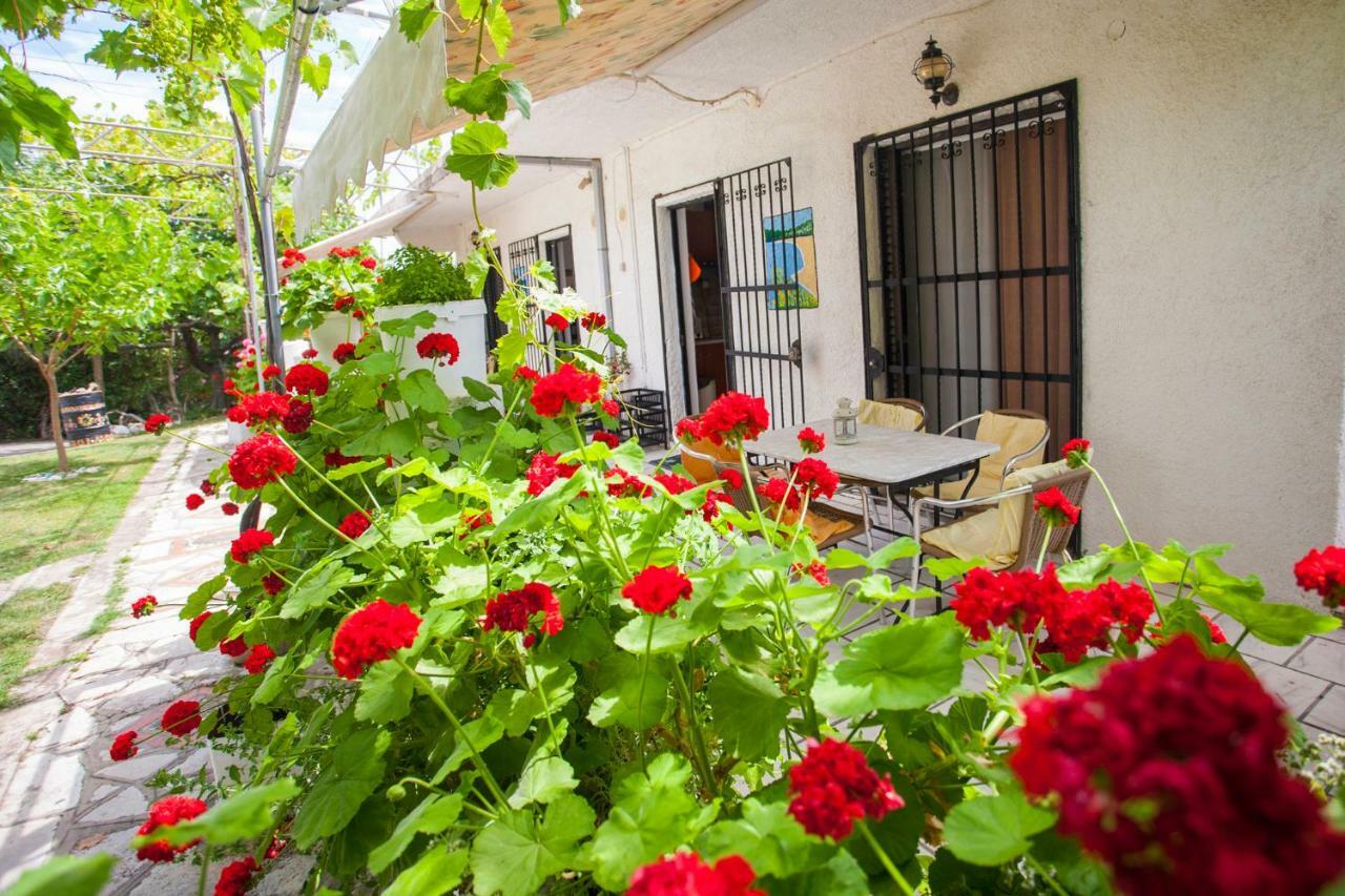 Nakou House Villa Vrachos Ngoại thất bức ảnh